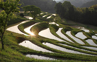 大山千枚田